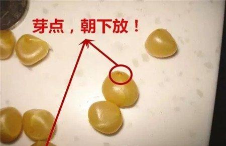 第4步 第4步