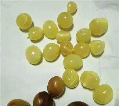 第2步 第2步