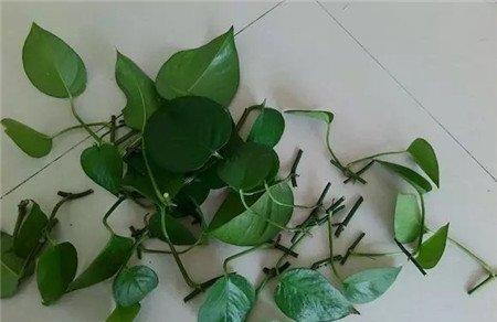 第三步 第三步
