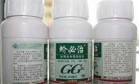 用药 用药