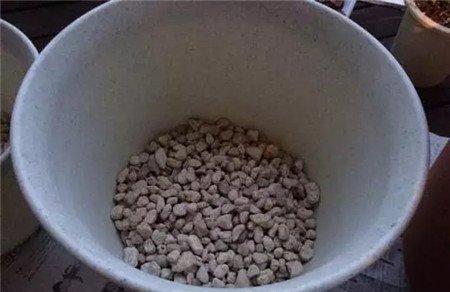 花盆底部 花盆底部