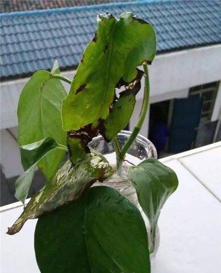 通风不畅
