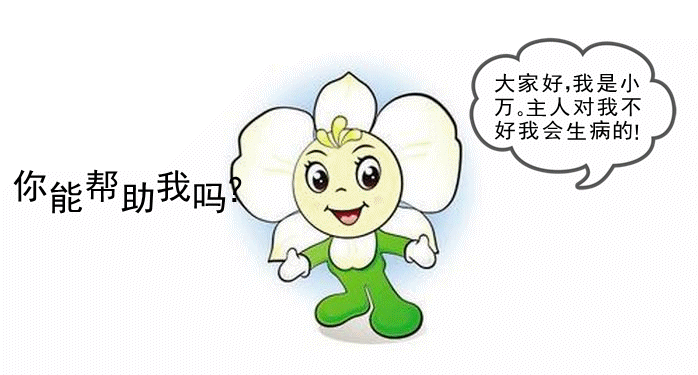 万代兰卡通图片
