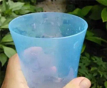 杯子 杯子
