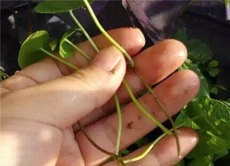 第一步 第一步