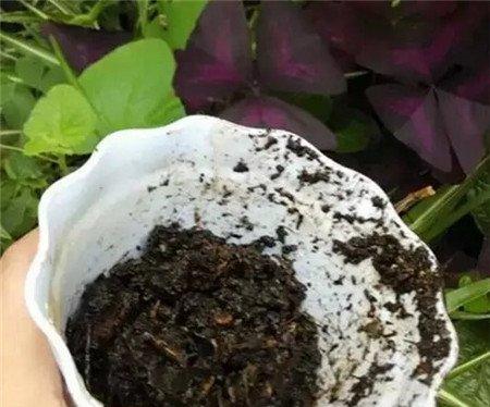 适量的土壤 适量的土壤