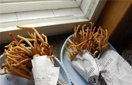 根系晾干 根系晾干