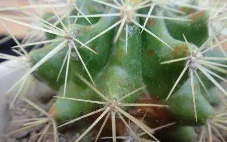 放在阴凉通风处。