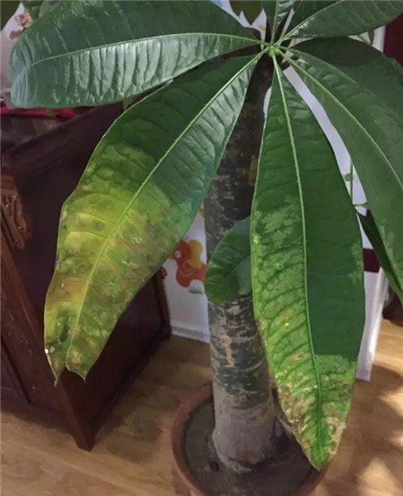 加强室内通风，挪到阴凉地方