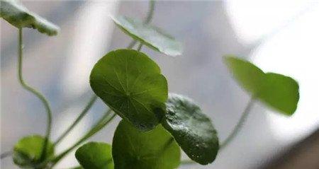 温度太低 温度太低