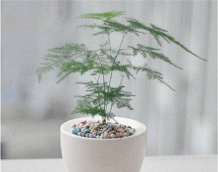 烟尘太多 烟尘太多
