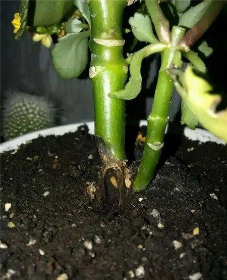 容器问题 容器问题