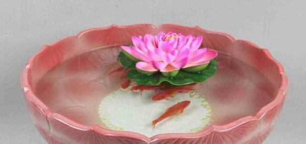 碗中的奇迹——碗莲