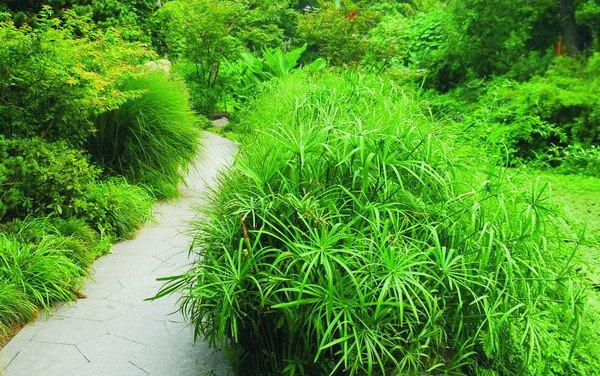 风姿卓然