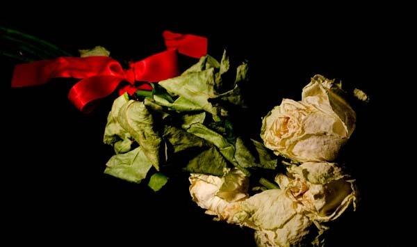 花朵枯萎解救法 花朵枯萎解救法