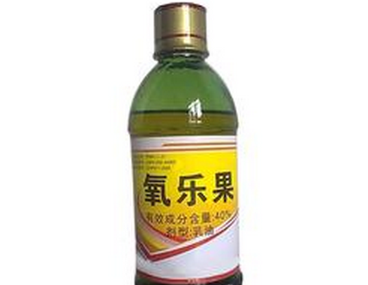 梅花药害乐果 梅花药害乐果