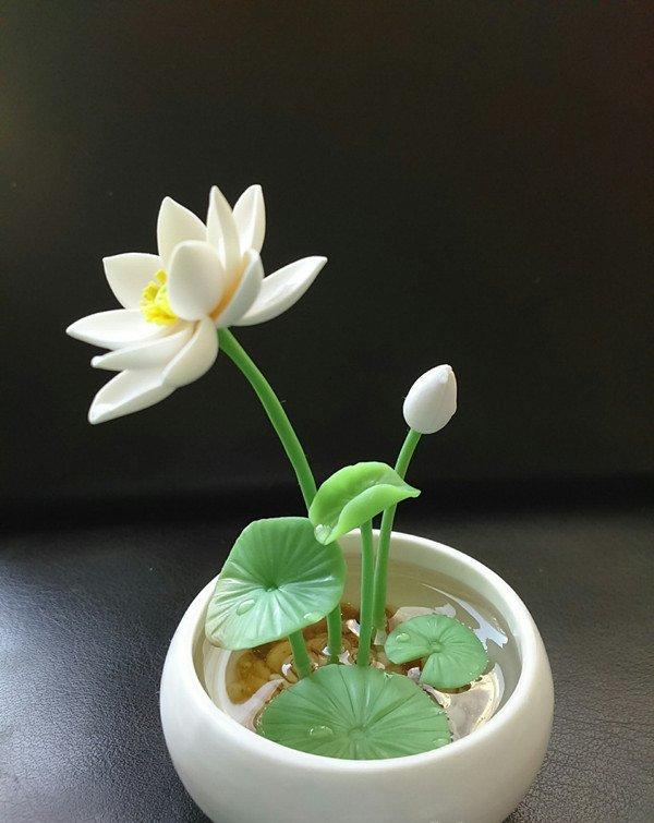 如你宛在水中央——碗莲盆景