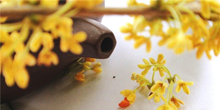 细嗅一树桂花香