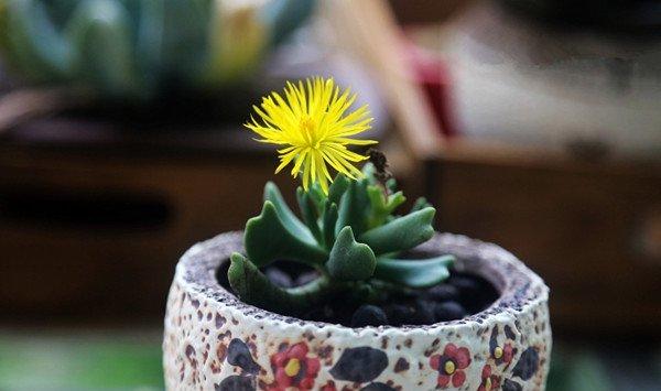 快刀乱麻,迅如闪电