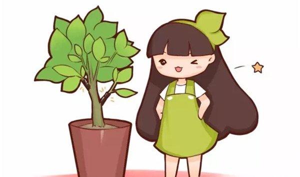 自制生根水太麻烦？这么做分分钟生根