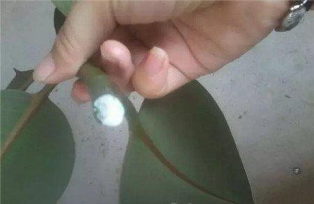 晾干 晾干
