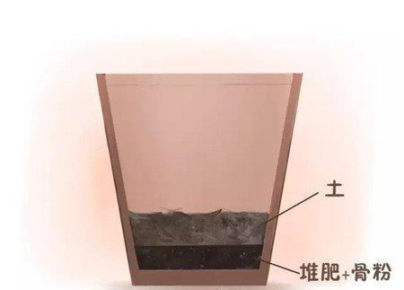 施底肥 施底肥