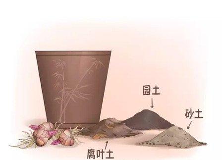 准备土壤和花盆 准备土壤和花盆