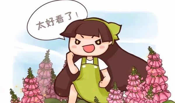 花开成串，这些花可比开爆盆好看多了