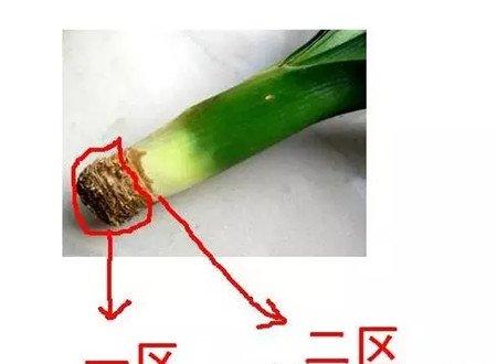 植株情况