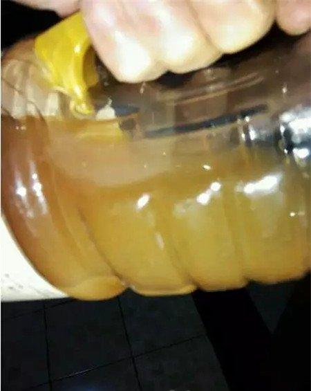 栀子花 栀子花