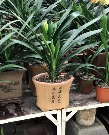 夏季高温要小心 夏季高温要小心