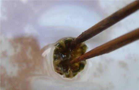 取出种荚 取出种荚