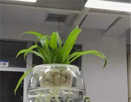 使用方法 使用方法