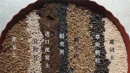 土壤 土壤