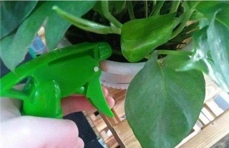 液肥 液肥