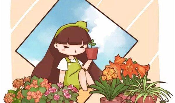 20种常见花卉的养殖技巧
