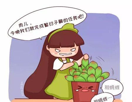 一起生孩子 一起生孩子