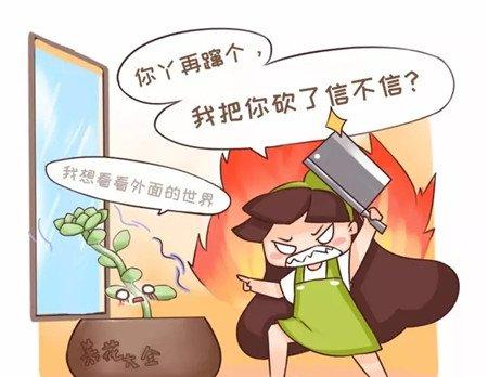 变丑长个 变丑长个