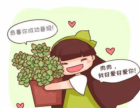 成为大家族啦 成为大家族啦