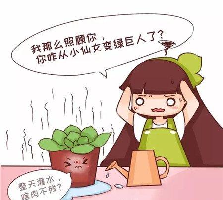 把你当做宝贝 把你当做宝贝