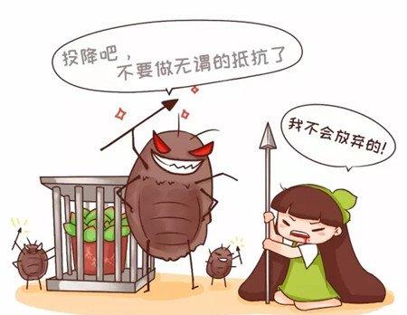 共战蚧壳虫 共战蚧壳虫