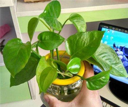 注意要点