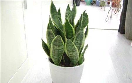 日后浇水