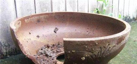 破花盆 破花盆