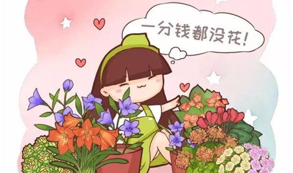这样养花，1分钱都不花，服了