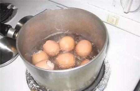 蛋壳做小花盆 蛋壳做小花盆