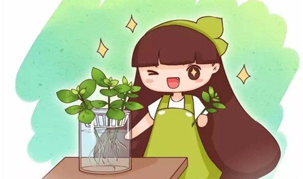 掐根枝扔水里，奇迹发生了