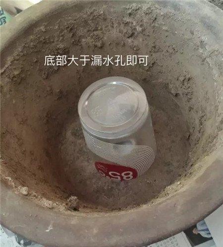 瓶子拦腰剪断 瓶子拦腰剪断