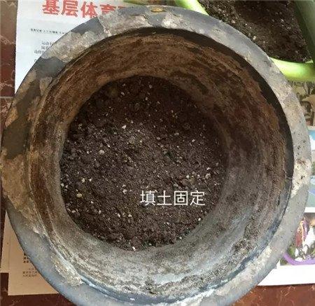 填土 填土