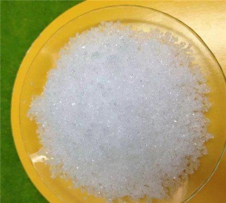 月季花需要施肥 月季花需要施肥
